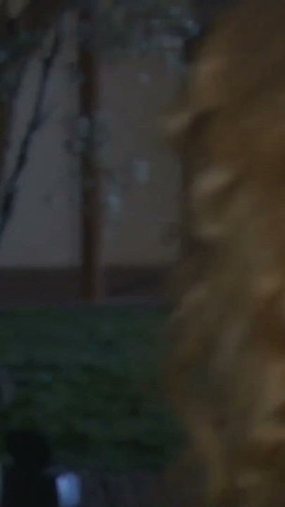 Cowboy and his whore | Clip 1