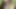 Indian Porn