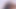 ゴリチュート