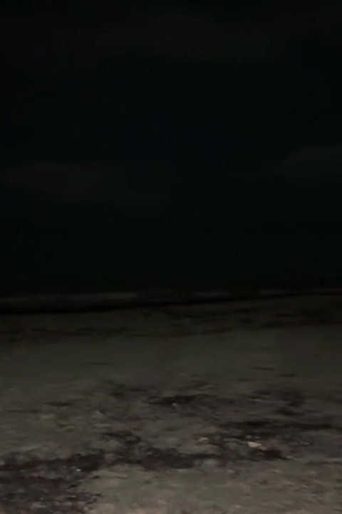 I Tourist on the Beach Sex - Kattyblake