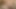 My Hairy Pussy JP part 2