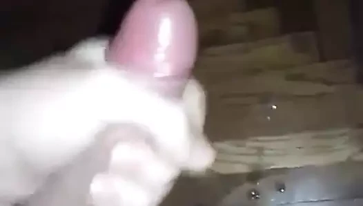 Zar zor yasal boi en sevdiği oyuncağıyla oynuyor