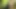 Sex mit einem fremden im wald
