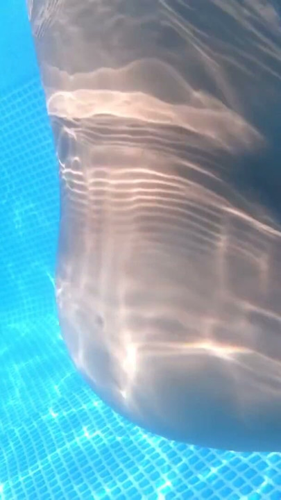 Risky Sex in the Pool Outside 9 Months Pregnant | Clip 1