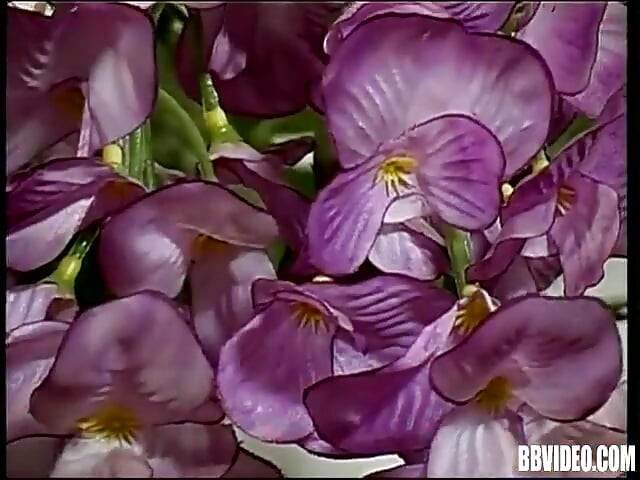 Дай ми го! - DVD