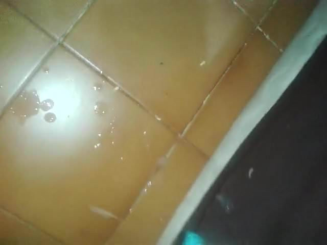 leche