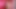 Karla Carrillo shows her big cock on the pink wall