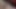 الملاك الآسيوي 25047