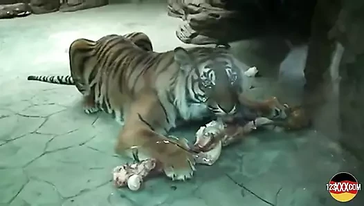 Lustful Blonde Picked up and Fucked in the Park