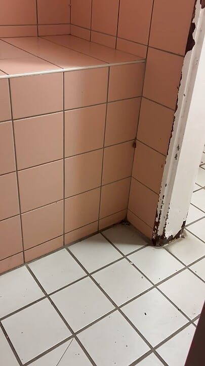 PUBLIC TOILET AT NIGHT UNCUT TAIL