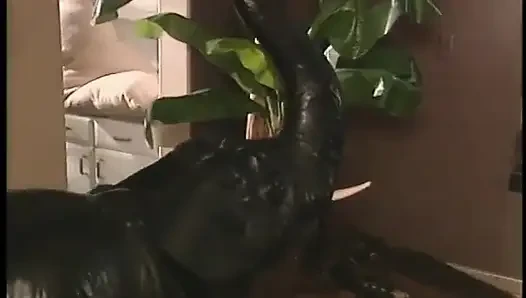 Şehvetli esmer sıkı amcığını oturma odasında siktiriyor