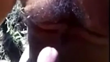 Le hace una paja en el monte