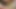 チンポをしゃぶるかわいい男女共学の夏