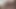 Penis sperma