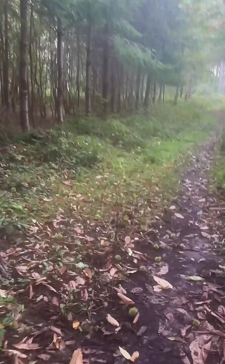 Clothes left in car.  an hour naked walk from car and back in woods barefoot