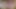 Having Fun With New Guest Full Masturbation Homemade