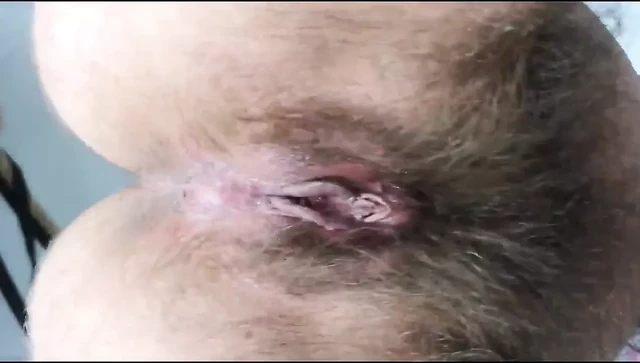 Hairy bush