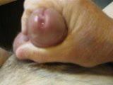 Another friend, close up