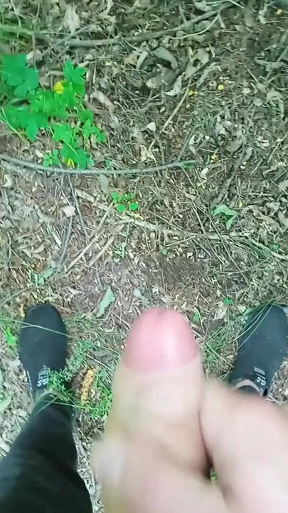 Key moment from "wank cruise. jerking off quickly in the woods until mom sees"