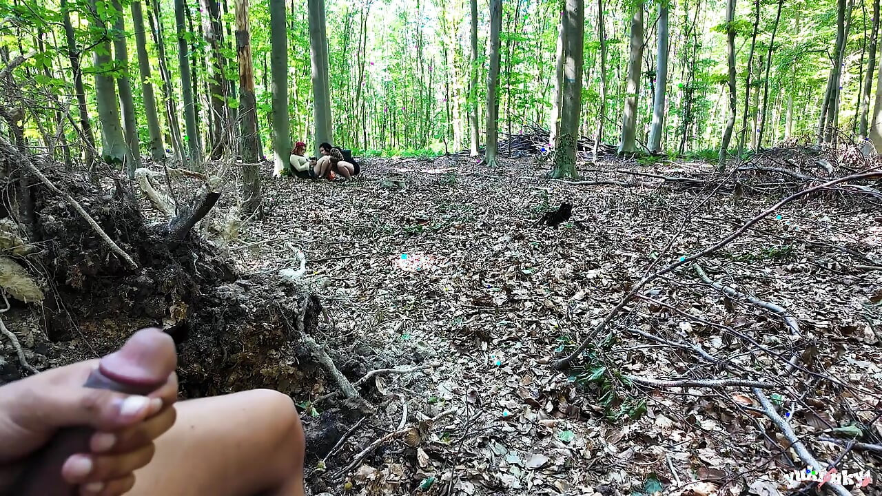 Un Voyeur Dans La forêt Baise 2 Chiennes