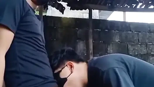 Ağzıma boşal kaltak! Asa Twink cennete sakso çekiyor