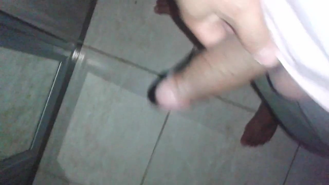 Meu pau