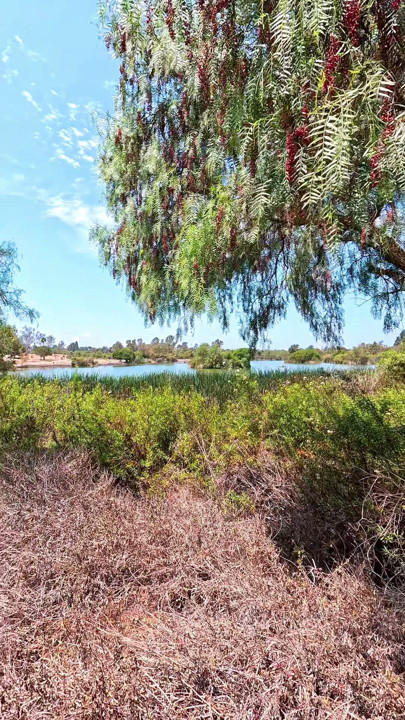 Guajome Regional Park 모험!