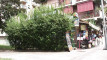 Pratinjau video