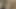 woman had her pussy spanked and fingered WF