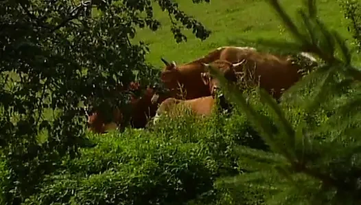 Büyük memeli Alman genç kız açık havada çarpıcı anal seks partisinin tadını çıkarıyor