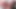 Transen Mädchen Chanel Santini fickt große Freundin