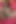 Büyük memeli porno yıldızı Carmella Bing çifte penetrasyon