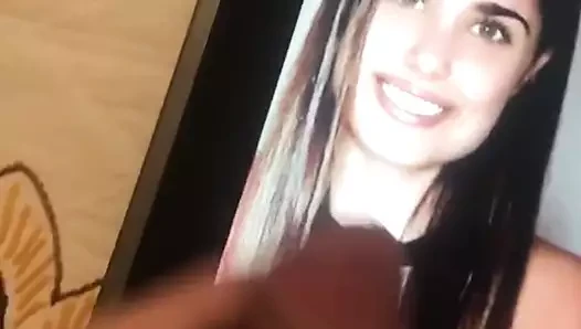 anto cavaleri 1