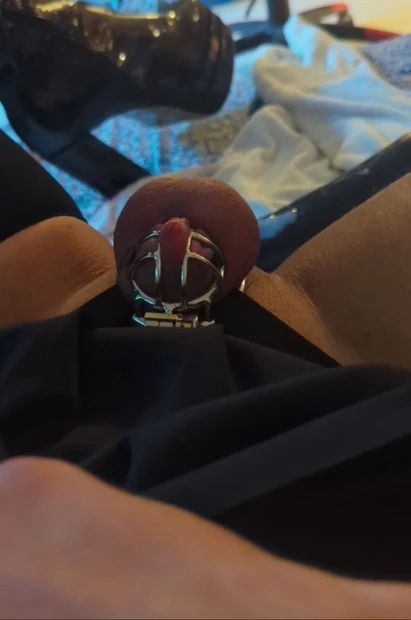 Showing off my new cage🔐