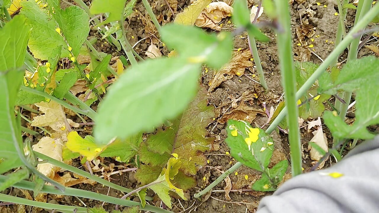 Kheton mein sex karne ka maja hi kuchh aur Hai