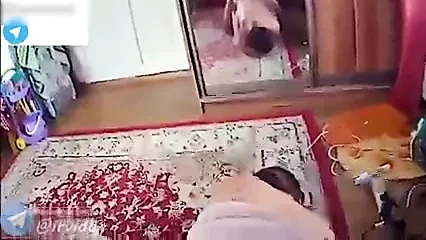 irani koon