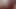 BBC Worship Hallelujah Johnson ( More, More, more and more of my Huge Black Dick )
