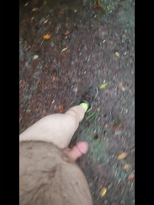 短いドライブと散歩に行きました