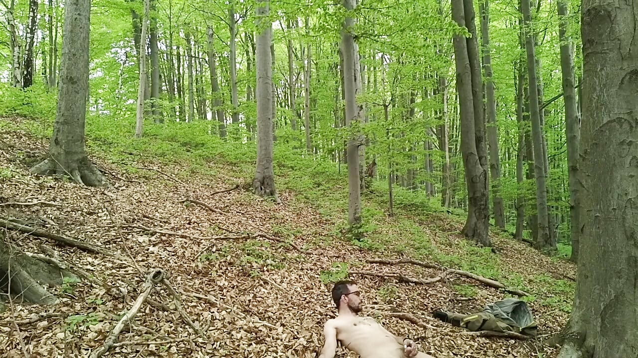 I Chase Him Through the Leaves
