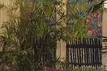 Les Mauvaises Rencontres（甜蜜的梦想）（1980）Vmd英语