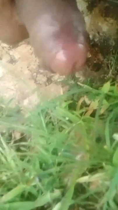 Country Girl Sexy Video | Clip 1