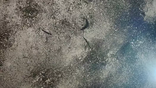 Lusi doesn't like to wear vikini