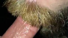 Татуированная бородатая мужик сосет дружку
