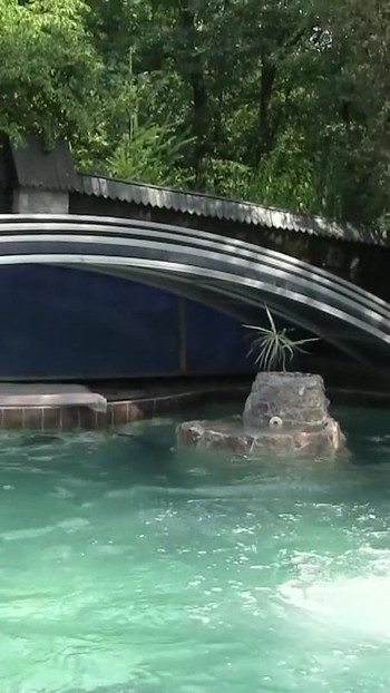 Epic moment from "Zwei heisse Junge Lesben spiele mit sich am Pool und besorgen es sich"