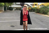 Pregled videozapisa