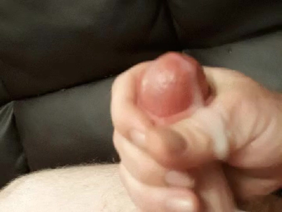 Bear Cock Cumming