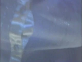 Dee upskirt with white knickers