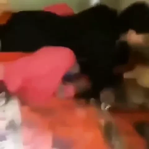 punjabi bhabi sex
