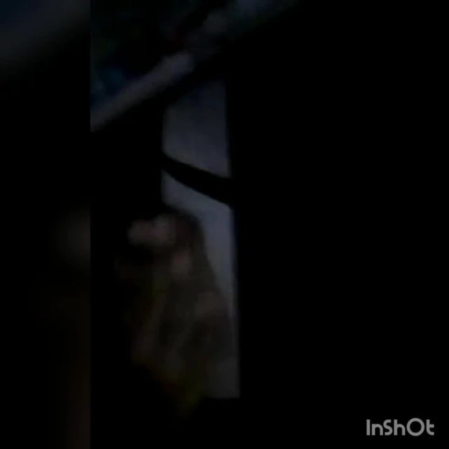 Desi mal