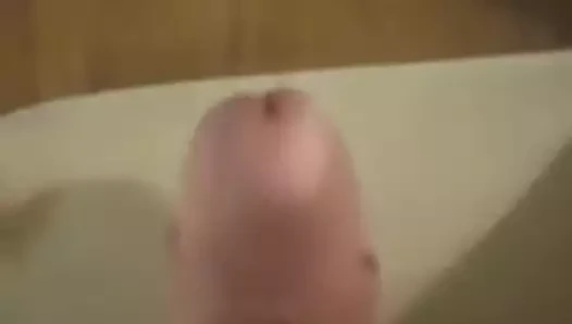 iğneler ile sabitlenmiş horoz